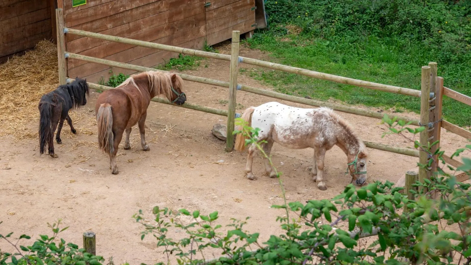 Vilar Rural De Sant Hilari Sacalm